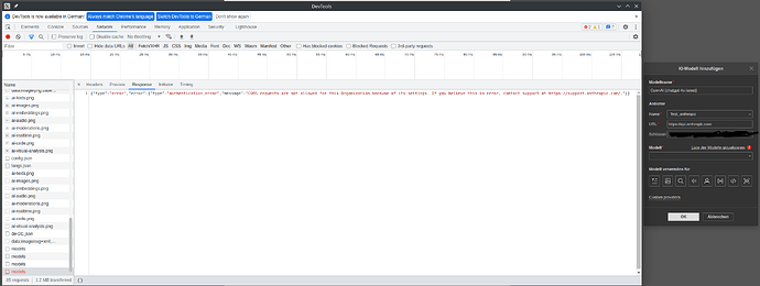 CORS Error Anthropic