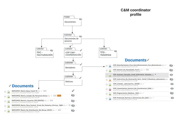 C&M coordinator profile