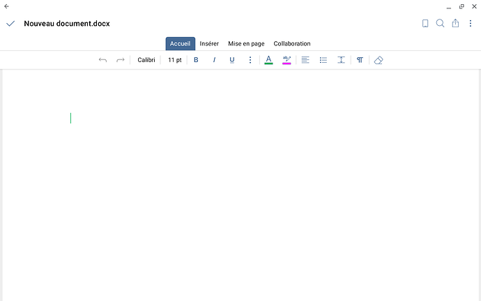 Bug-OnlyOffice